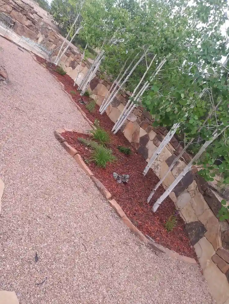 Drought-friendly landscaping in Santa Fe using native plants