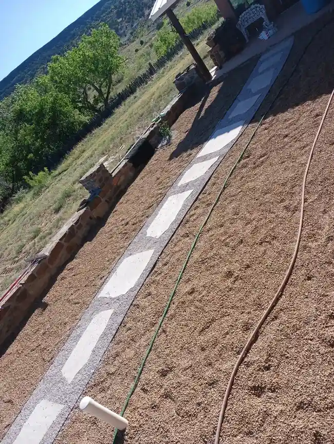 Project image 15 - Evergreen Landscaping