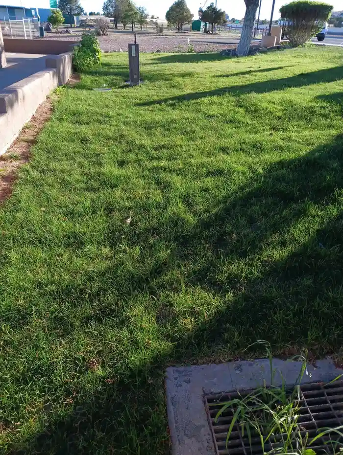 Project image 56 - Evergreen Landscaping
