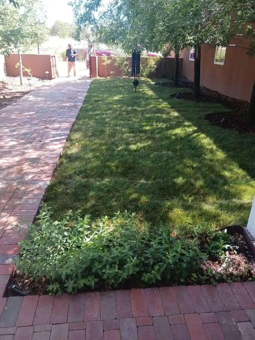 Project image 101 - Evergreen Landscaping