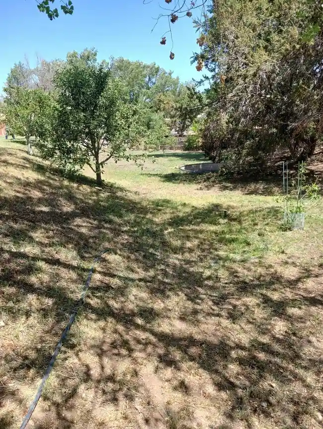 Project image 46 - Evergreen Landscaping